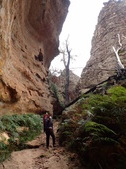 Enlarge photo 27