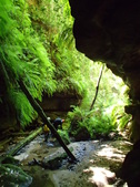 Enlarge photo 11