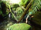 Enlarge photo 14