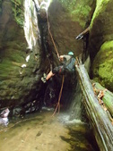 Enlarge photo 16