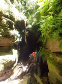 Enlarge photo 17
