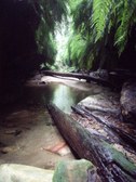 Enlarge photo 3