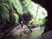 Enlarge photo 21