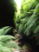Enlarge photo 16