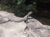 Enlarge photo 17