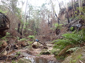 Enlarge photo 11