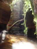 Enlarge photo 15