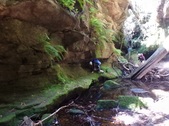 Enlarge photo 2