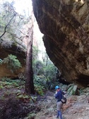 Enlarge photo 24