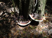 Enlarge photo 26