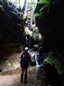 Enlarge photo 31
