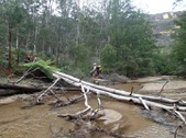 Enlarge photo 23
