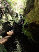 Enlarge photo 33