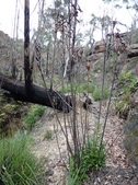 Enlarge photo 27