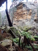 Enlarge photo 38