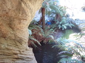 Enlarge photo 14