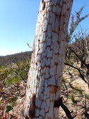 Enlarge photo 25