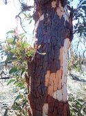 Enlarge photo 26