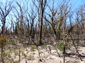 Enlarge photo 28