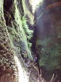 Enlarge photo 17