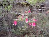 Enlarge photo 24
