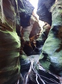 Enlarge photo 20