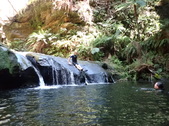 Enlarge photo 30