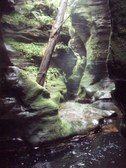 Enlarge photo 17