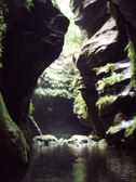 Enlarge photo 30