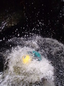 Enlarge photo 11