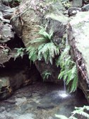 Enlarge photo 10