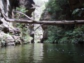 Enlarge photo 24