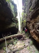 Enlarge photo 17