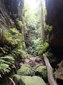 Enlarge photo 18