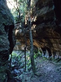 Enlarge photo 4