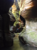 Enlarge photo 16