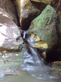 Enlarge photo 14