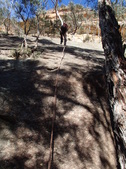 Enlarge photo 21