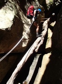 Enlarge photo 15
