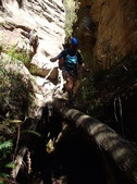 Enlarge photo 18