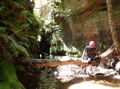 Enlarge photo 39