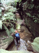 Enlarge photo 14