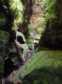 Enlarge photo 13