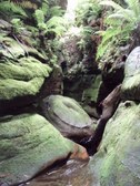 Enlarge photo 16