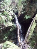 Enlarge photo 23