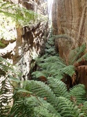 Enlarge photo 36