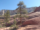 Enlarge photo 18