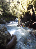 Enlarge photo 15