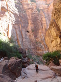 Enlarge photo 16