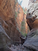 Enlarge photo 10